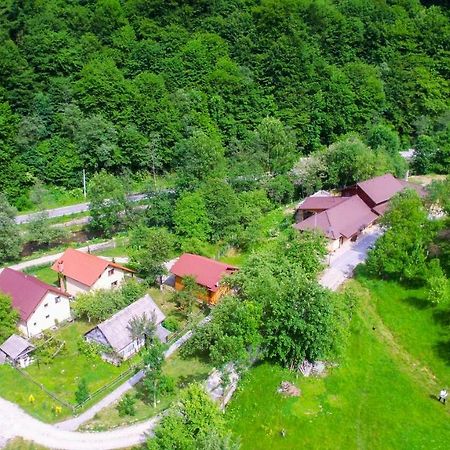 Pensiunea Lupul Dacic Costeşti Eksteriør bilde