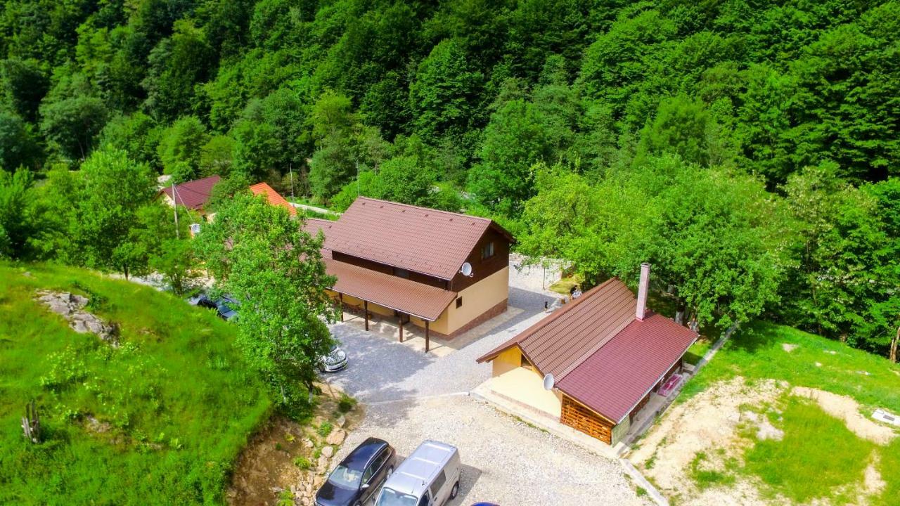 Pensiunea Lupul Dacic Costeşti Eksteriør bilde