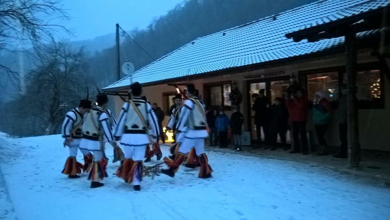 Pensiunea Lupul Dacic Costeşti Eksteriør bilde
